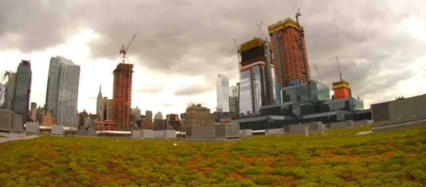 screengrab-feed-Javits-Center-roof