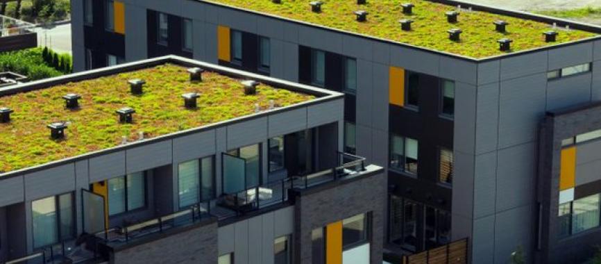 green-roof-market-UK