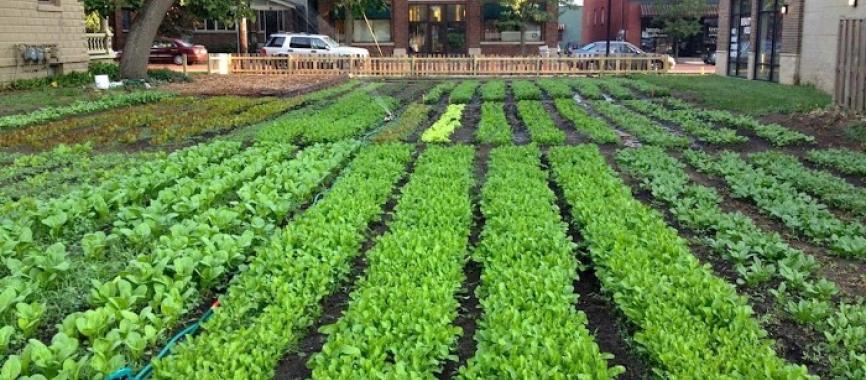 urban-farming-australia
