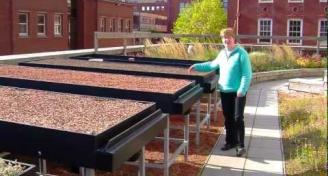 Green Roof Research at Shelfied 