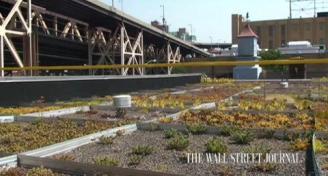 Columbia Uni NYC: Weighing the benefits of reducing heat island and stormwater runoff.