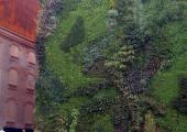 Caixa Madrid Jardin Vertical