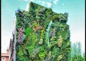  Vertical Garden Madrid