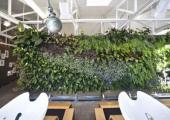 Marr Salon (Auckland)