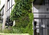 Natural Habitats (Auckland)