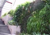 Queens Square (Brisbane)