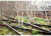Highline (New York, USA) (Source: www.urbantimes.co)