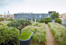 M-Central-Rooftop-Garden-Pyrmont-Sydney