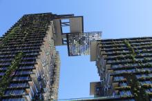 Sydney is also home to the world’s tallest vertical garden at Central Park in Ultimo, which spans the 33-storey-high residential complex One-Central-Park_Sydney