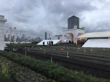 the Grange NYC