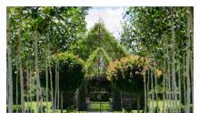Living green church New Zealand