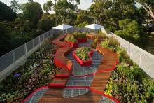 Green-Roof-Melbourne