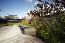 Kangan-Institute-green-roof-project
