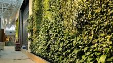 The building also incorporates biophilic urbanism, which involves bringing nature into buildings, in that it has a green roof as well as terraced seating leading up to the main roof area.