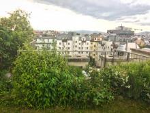 Rooftop garden in Vienna studied in the research (Image: Living Roofs)