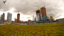 screengrab-feed-Javits-Center-roof