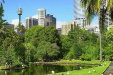 Green Sydney NSW The Fifth Estate Sydney NSW