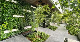 Paragon by Fytogreen Paragon by Fytogreen