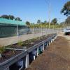 green-roof-trial